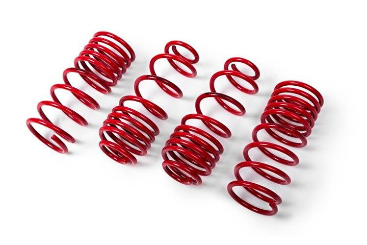 MTS TECHNIK Performance Lowering Springs for BMW 5 (F10) 518 d/ 520 d/ 520 i/ 523 i/ 528 i/ 530 i