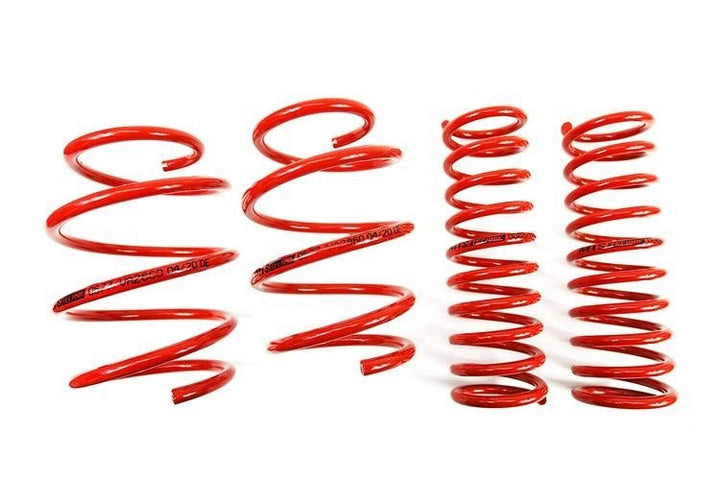 MTS TECHNIK Performance Lowering Springs for BMW 5(E39)