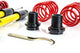 MTS TECHNIK Coilover Suspension Street for Audi A3(8P)&TT(8J)